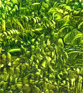Top Art Museums in Mexico Online By www.Cdmx.Tv Art By Dapacu