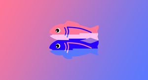 Important changes are coming to Glitch