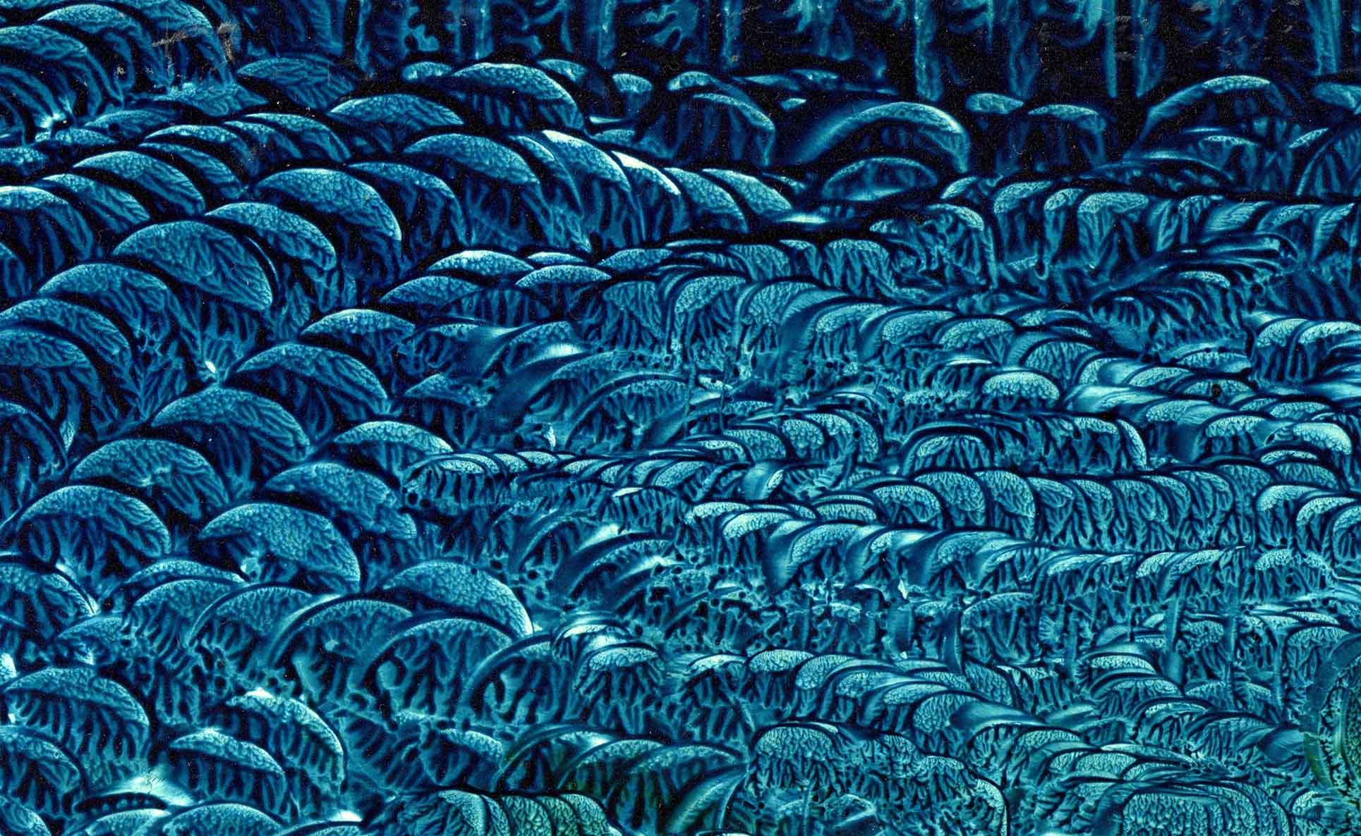 Dapacu Masterpieces Zooms The Best London Art Gallery