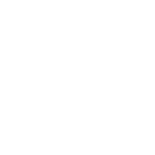 Box icon